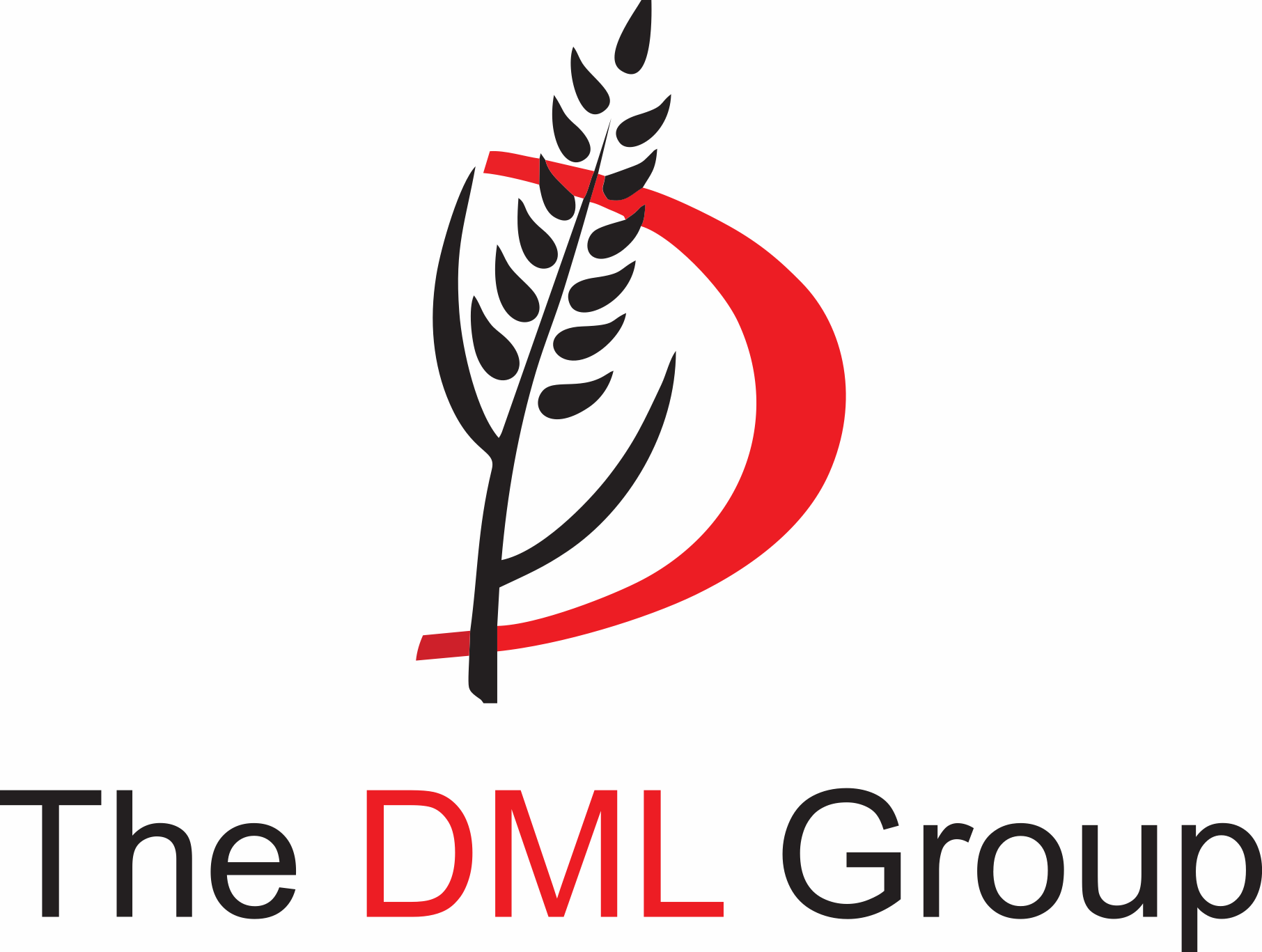 DML Group – Agro Commodity Exporters in India